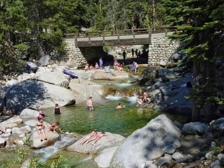 Sequoia Cabin By The River スリー・リバーズ エクステリア 写真