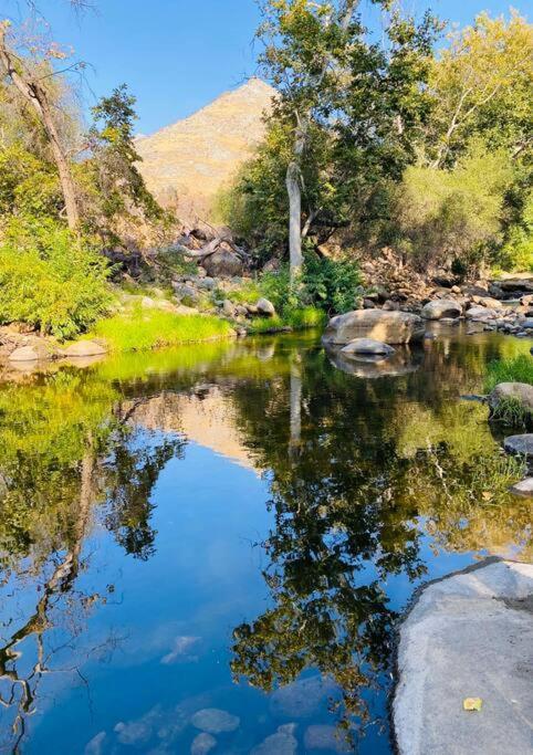 Sequoia Cabin By The River スリー・リバーズ エクステリア 写真