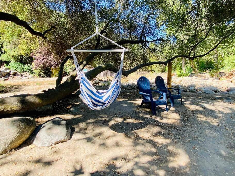 Sequoia Cabin By The River スリー・リバーズ エクステリア 写真