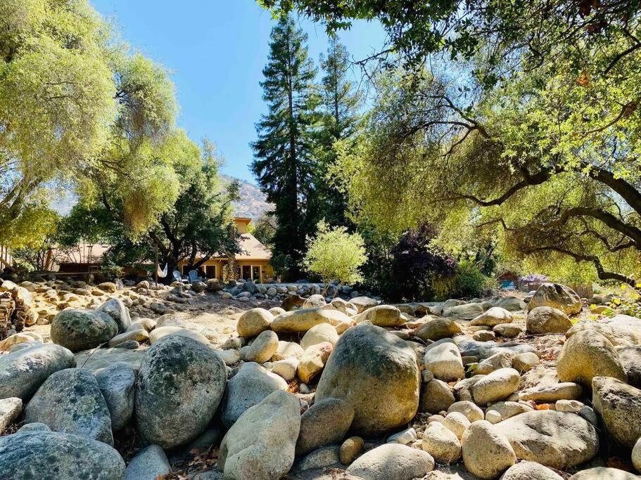 Sequoia Cabin By The River スリー・リバーズ エクステリア 写真