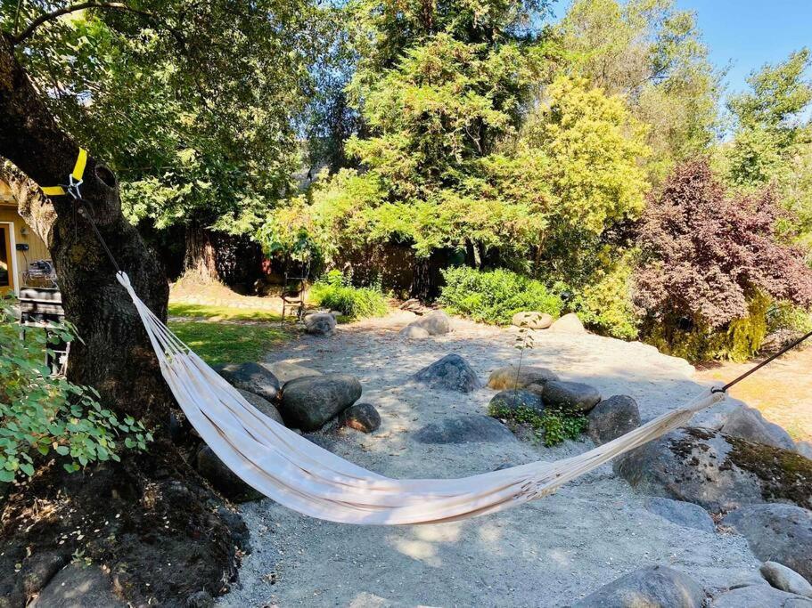 Sequoia Cabin By The River スリー・リバーズ エクステリア 写真
