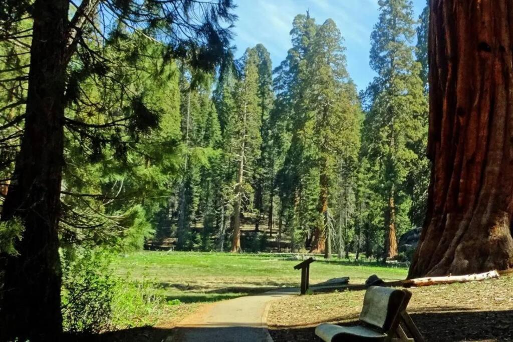 Sequoia Cabin By The River スリー・リバーズ エクステリア 写真