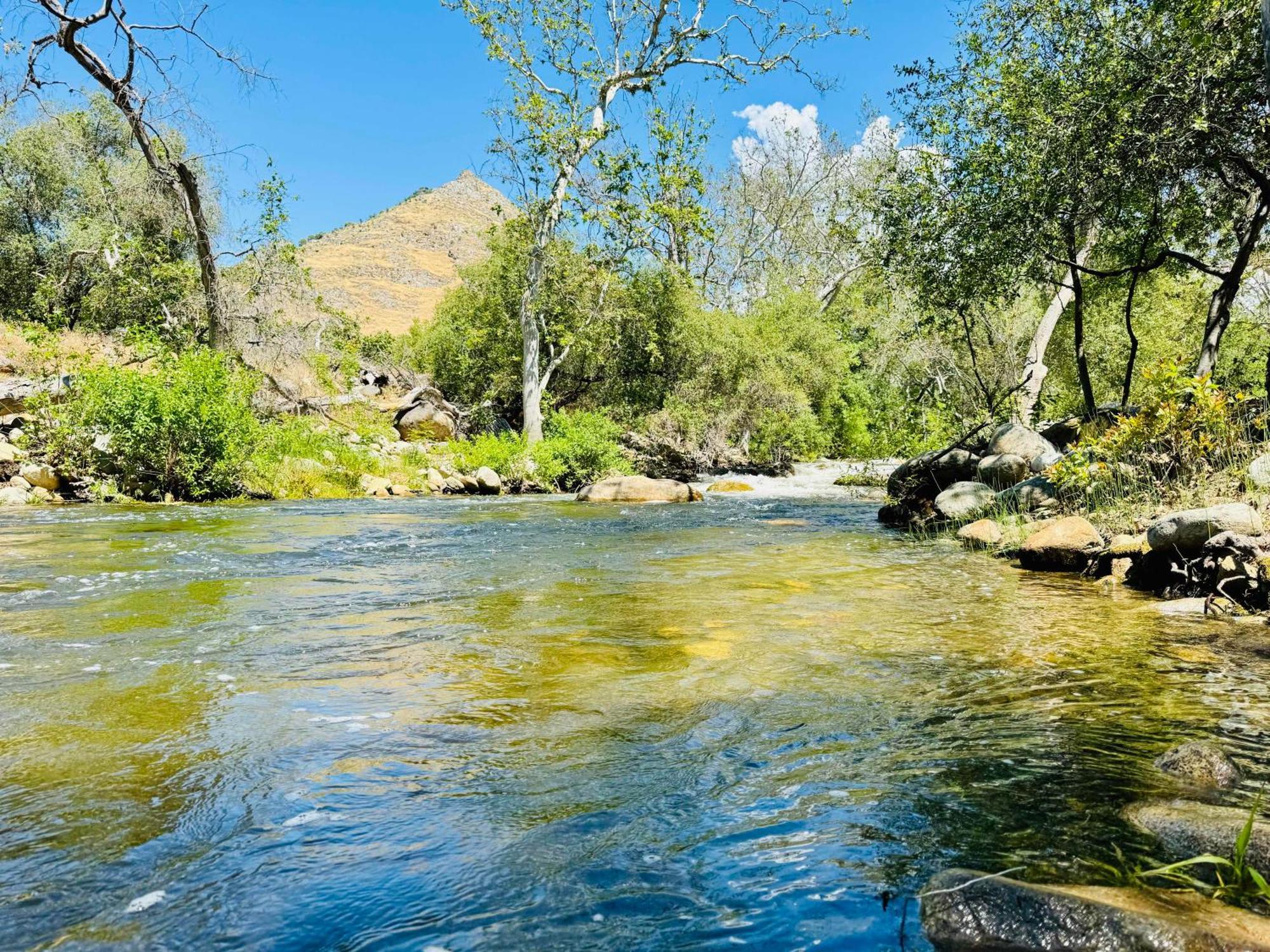 Sequoia Cabin By The River スリー・リバーズ エクステリア 写真